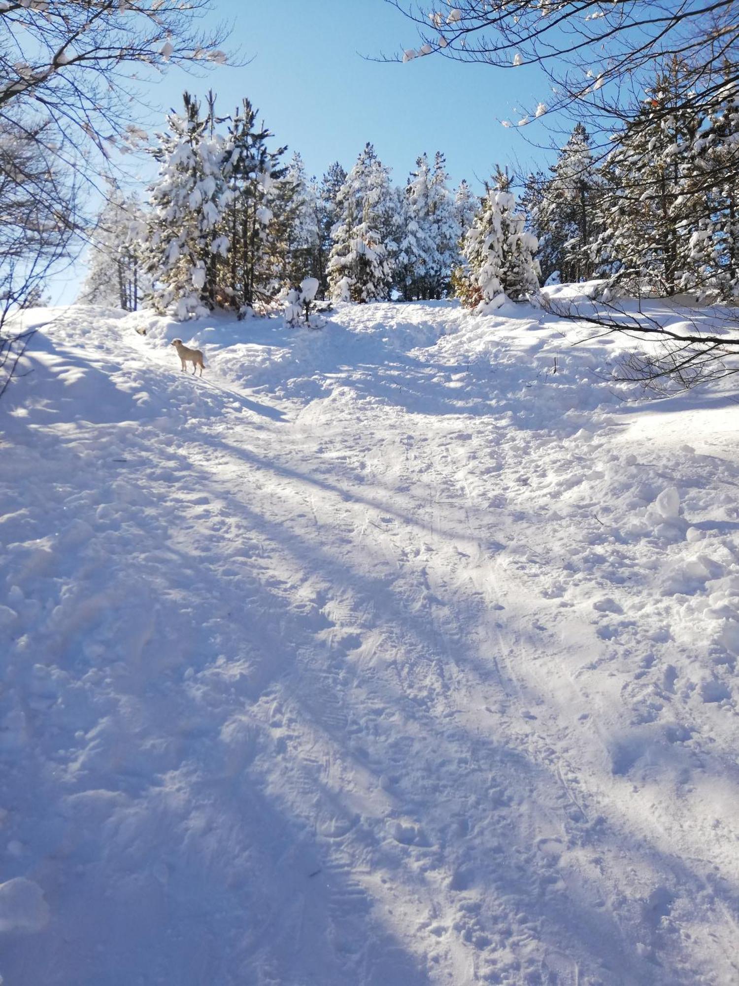 Irvas * Zlatibor